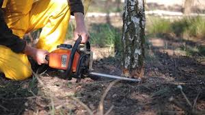 Best Utility Line Clearance  in Hotchkiss, CO