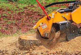 Best Lawn Maintenance Plans  in Hotchkiss, CO