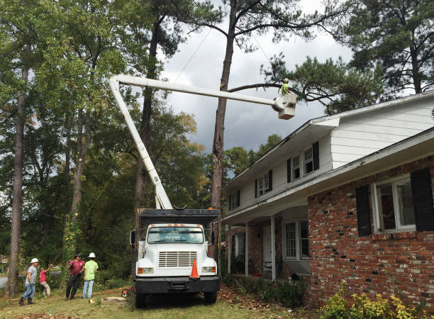 Best Aeration Services  in Hotchkiss, CO