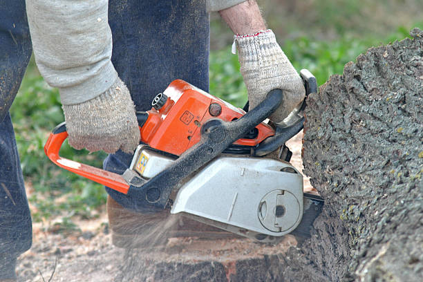 Mulching Services in Hotchkiss, CO